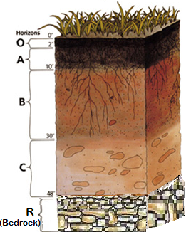 SOIL PROFILE.png