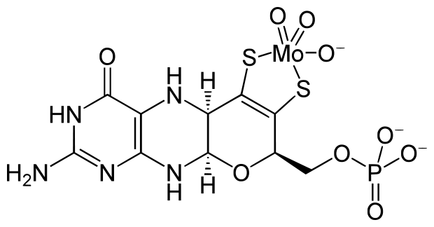 File:Molybdenum cofactor.svg