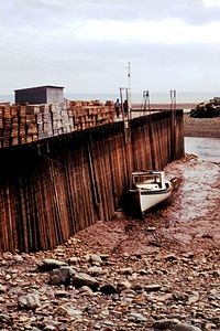 Bay of Fundy Low Tide.jpg