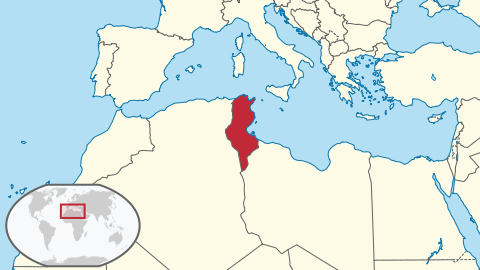 File:Tunisia in its region.svg