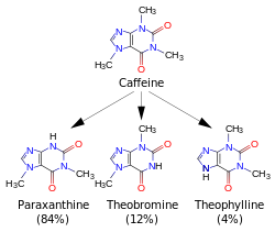 A diagram featuring 4 skeletal chemical formulas. Top (caffeine) relates to similar compounds paraxanthine, theobromine and theophylline.