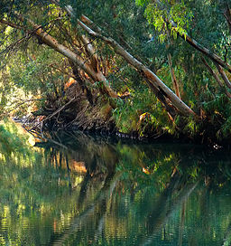 Jordan River Bushy.jpg