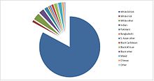 Pie chart with main body in blue and multiple smaller segments in other colours.